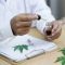 Cannabis : la France sur le point de légaliser officiellement le CBD