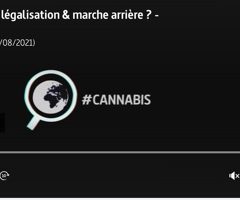 Désintox. Non, les pays ayant légalisé le cannabis ne sont pas revenus sur leur décision