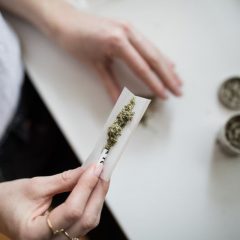 Panama : le pays légalise l’usage du cannabis à des fins médicales