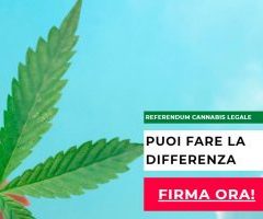 Un référendum pour dépénaliser le cannabis lancé en Italie