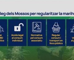 Les Mossos d’Esquadra réclament la légalisation du cannabis