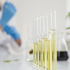 Une nouvelle étude indique que le CBD semblerait protéger du Covid