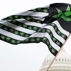 16 États américains qui pourraient légaliser le cannabis en 2022