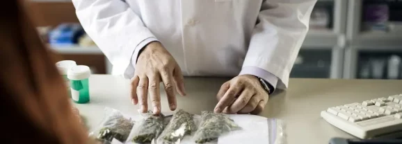 Cannabis thérapeutique : vers une autorisation de mise sur le marché ?