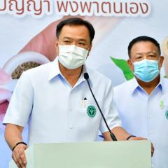 De l’huile de cannabis gratuite sera fournie dans les hôpitaux thaïlandais