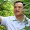 Le ministre thaïlandais de la santé prévoit d’offrir 1 million de plants de cannabis aux citoyens