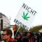 Cannabis: l’Allemagne accélère la légalisation de l’or vert.