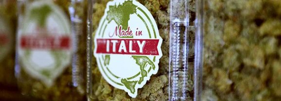 L’Italie débat de la légalisation de l’autoproduction de cannabis
