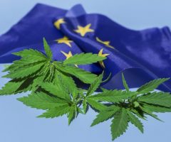La légalisation du cannabis roule à travers l’Europe Voici ce qui se passe en ce moment !