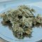 Santé France Cannabis préconise de « prévoir le report » de la légalisation du cannabis médical d’un an