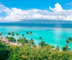 La longue attente du cannabis thérapeutique en Polynésie