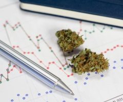 UK : Les décideurs politiques ont été invités à examiner les preuves du monde réel du cannabis médical