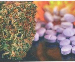 Cannabis médical, bientôt le bout du tunnel ?