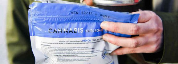 Uruguay : du cannabis à 15% de THC bientôt en pharmacie