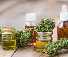 Cannabis médical : vers un risque de rupture de stock ?