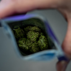 États-Unis : la vente de cannabis médical va entrer en vigueur pour la première fois