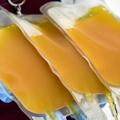 Des scientifiques tchèques travaillent sur un substitut au plasma sanguin issu du chanvre