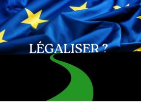 Légalisation du cannabis dans l’UE : Le rapport que l’Allemagne voudrait oublier