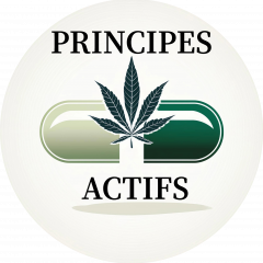Quelques conseils en cas de soucis ! Peut-être que cela pourra aider quelques personnes