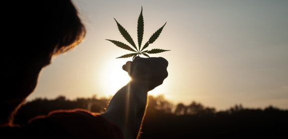 Dans la Somme, Louise atténue les douleurs de ses maladies graves en fumant du cannabis