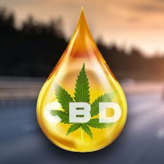Le CBD ne modifie pas les performances de conduite