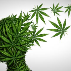 Dépression et anxiété : étude chez des patients novices en cannabis