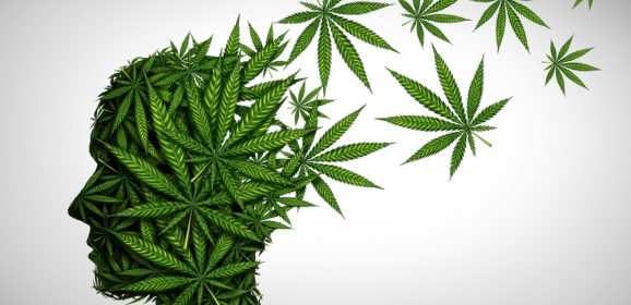Dépression et anxiété : étude chez des patients novices en cannabis