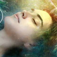 Cannabis et insomnie : nouvelle étude sur son potentiel thérapeutique
