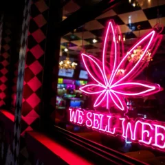 Thaïlande : les consommateurs de cannabis devront présenter une ordonnance