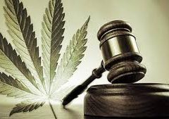 Menacé de licenciement car positif au cannabis, l’agent RATP affirme prendre du CBD thérapeutique