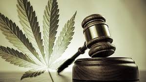 Menacé de licenciement car positif au cannabis, l’agent RATP affirme prendre du CBD thérapeutique