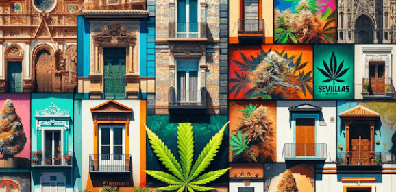 Fermeture des cannabis clubs en Espagne : vers l’autoproduction à domicile ?