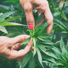 Plus de qualité de vie pour les patients avec endométriose