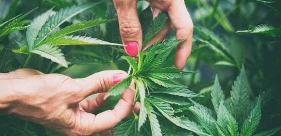Plus de qualité de vie pour les patients avec endométriose
