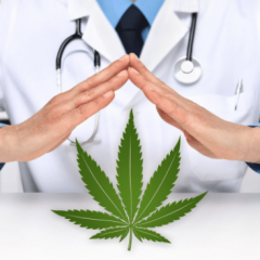 HAS : méthode d’évaluation des médicaments à base de cannabis