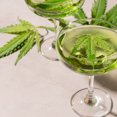 Les boissons au cannabis comme substitue à l’alcool aux Etats Unis