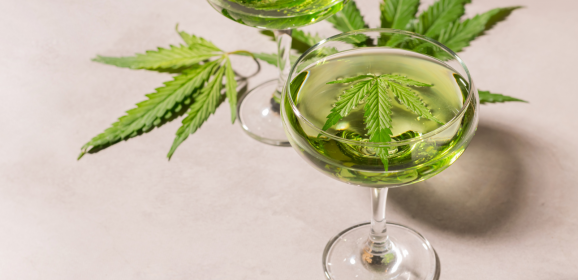 Les boissons au cannabis comme substitue à l’alcool aux Etats Unis