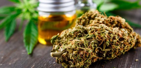 Le cannabis médical est plus efficace contre la douleur neuropathique