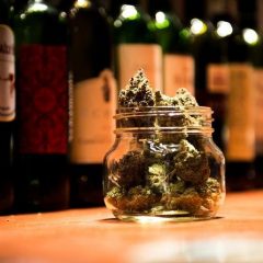 L’exposition aux cannabinoïdes est associée à un risque moindre de maladie hépatique liée à l’alcool