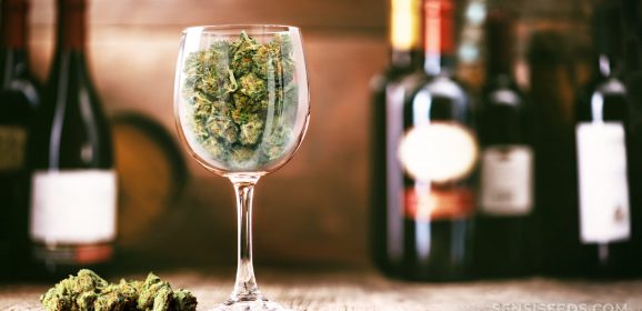 Etude : Facteurs prédictifs du remplacement de l’alcool par le cannabis chez les femmes adultes