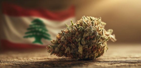 Le Liban légalise la culture du cannabis à usage médical
