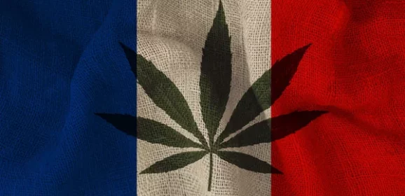 Accès des patients aux médicaments à base de cannabis : amendement en discutions