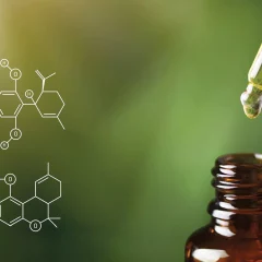 Des experts britanniques publient le premier guide complet de dosage des huiles de cannabis médical