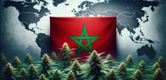 Du marché noir aux coopératives : le Maroc mise sur le cannabis légal pour transformer la région du Rif