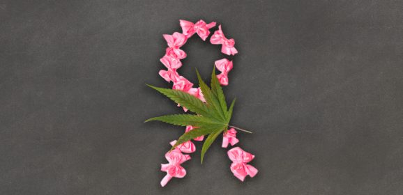 Deux composés issus du cannabis présentent des effets anticancéreux prometteurs