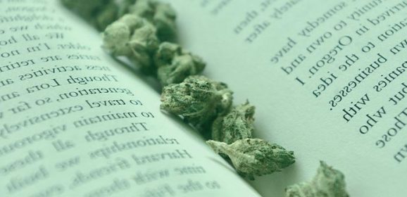 Le cannabidiol décrypté : ce que la lecture documentaire révèle sur le CBD