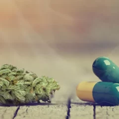 Consommation de cannabis médical et d’opioïdes chez les adultes souffrant de douleurs chroniques