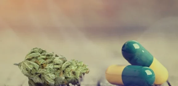 Consommation de cannabis médical et d’opioïdes chez les adultes souffrant de douleurs chroniques