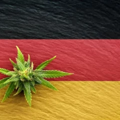 La prescription en ligne de cannabis médical fait débat en Allemagne