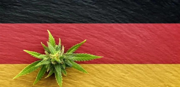 Deux ans de cannabis légal en Allemagne